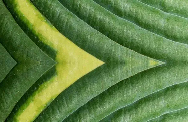 Fidelity Investments How endowments and foundations can align investment Lead Image
